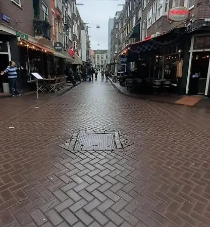 Charlotte, Not For Parties, Not A Hotel, With Shared Bathroom, No Kitchen