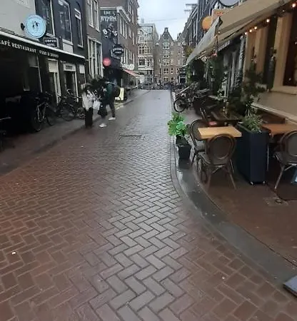 Charlotte, Not For Parties, Not A Hotel, With Shared Bathroom, No Kitchen