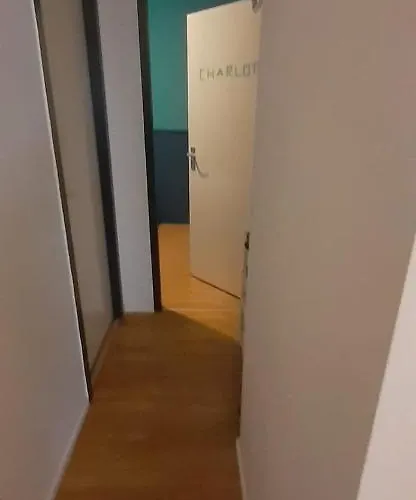 Charlotte, Not For Parties, Not A Hotel, With Shared Bathroom, No Kitchen * Ámsterdam