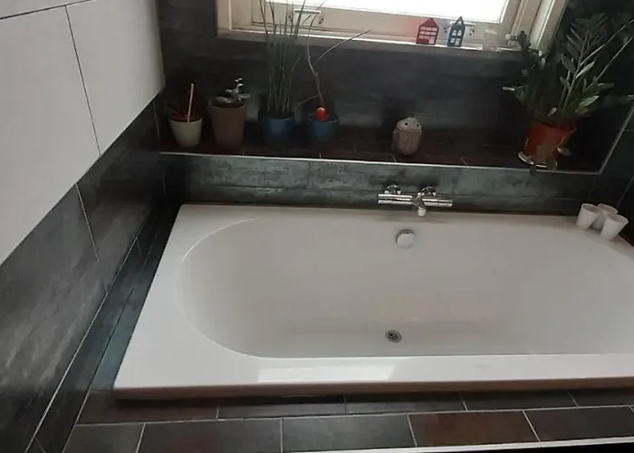 Charlotte, Not For Parties, Not A Hotel, With Shared Bathroom, No Kitchen * Ámsterdam