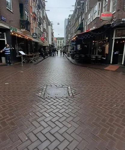 Charlotte, Not For Parties, Not A Hotel, With Shared Bathroom, No Kitchen