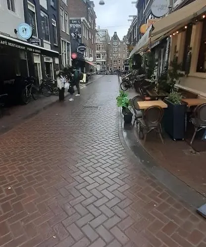 Charlotte, Not For Parties, Not A Hotel, With Shared Bathroom, No Kitchen